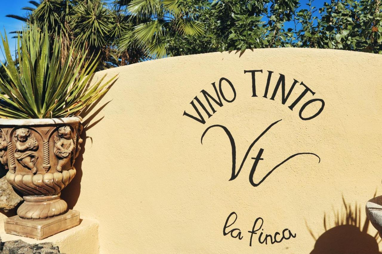 Finca Vino Tinto 5S Icod De Los Vinos Exteriér fotografie